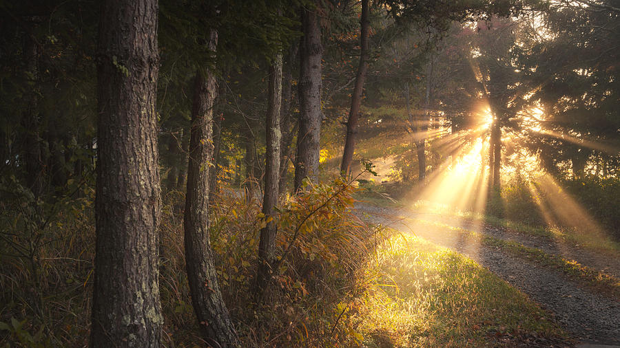 Guiding Light Photograph by Masaki Sugita - Fine Art America