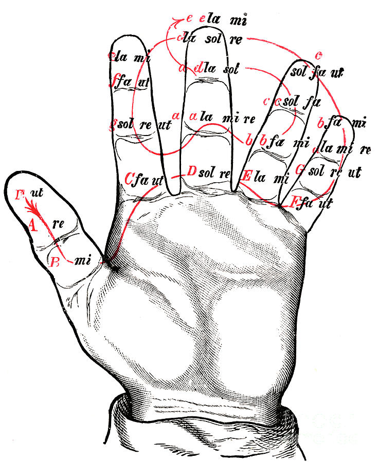 Guidonian Hand by Guido Of Arezzo