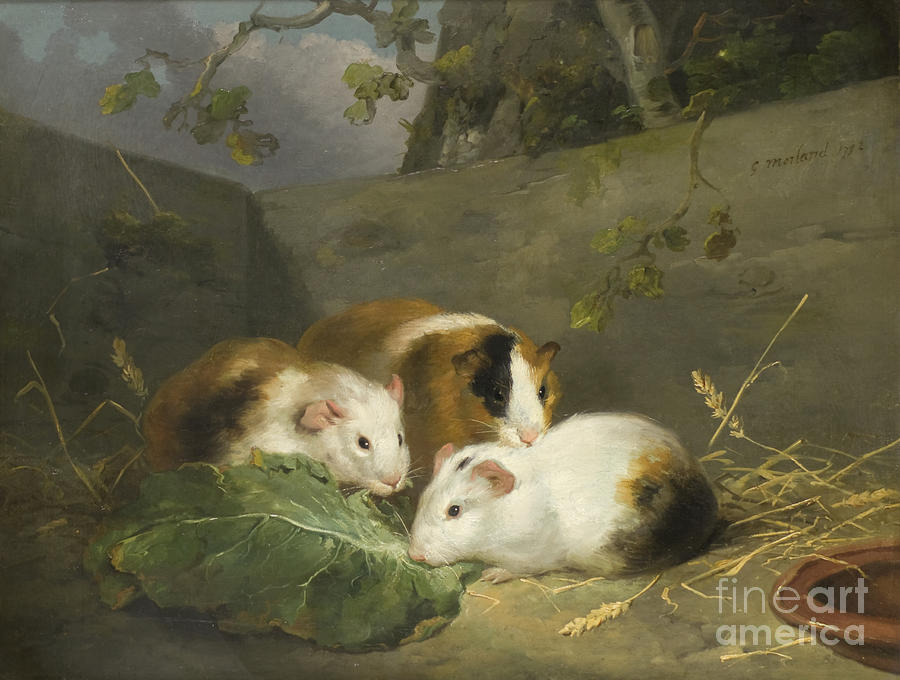 Pig Painting - Guinea Pigs, 1792 by George Morland