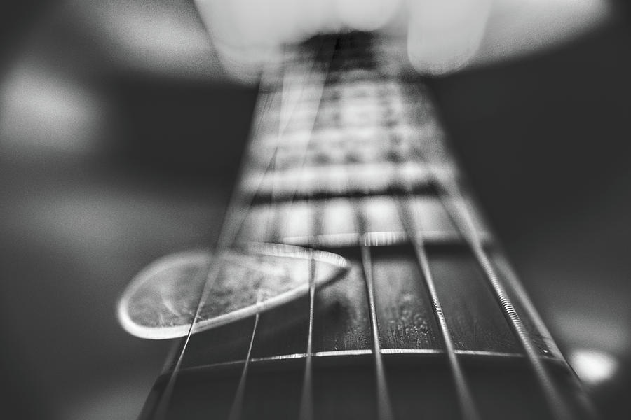 Guitar Strings Black and White Photograph by Chance Kafka