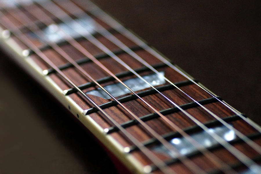 Guitar Strings Photograph by Mike Murdock