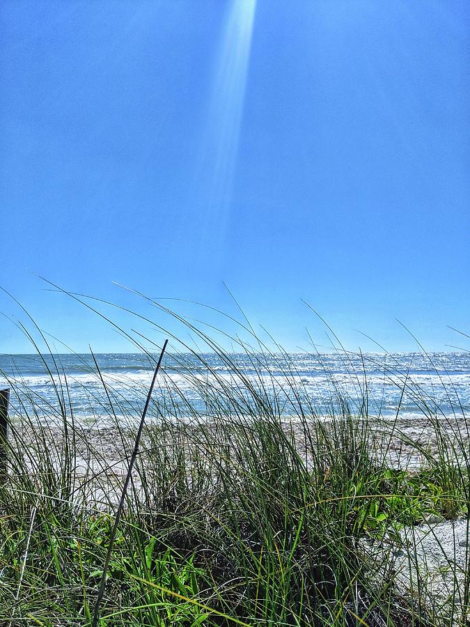 Gulf Breeze Photograph by Portia Olaughlin