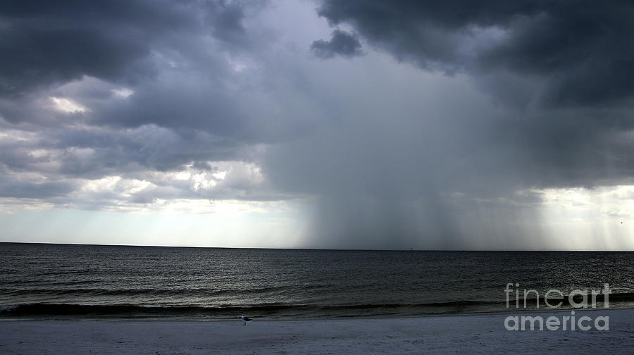 Gulf Storm-9034 Photograph by Gary Gingrich Galleries - Fine Art America