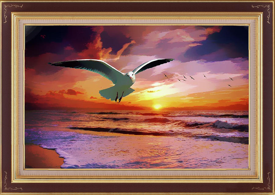 Gulls At Sunset by Clive Littin Gulls At Sunset by Clive Littin