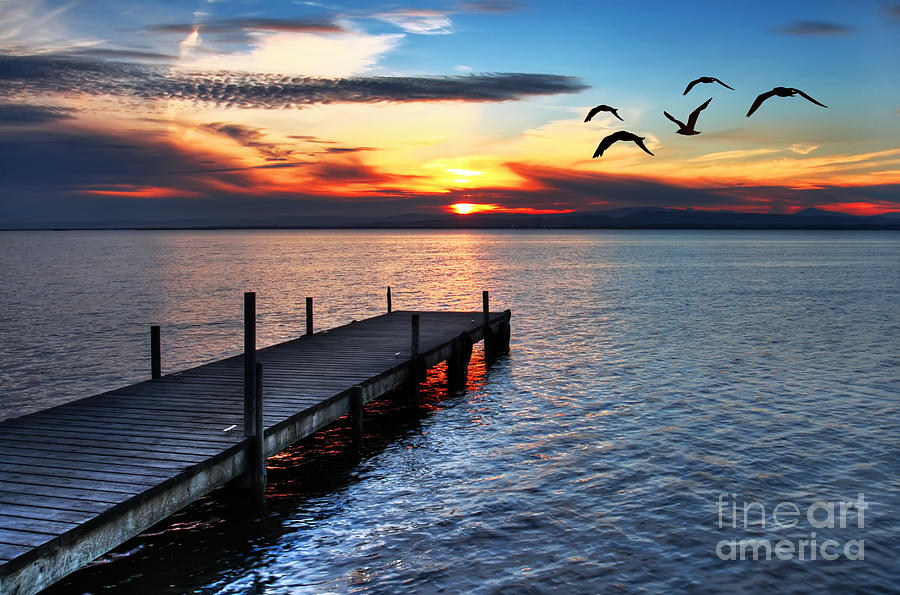 Sunrise Photograph - Gulls Fly Over The Sea by Kesipun Sunrise Photograph - Gulls Fly Over The Sea by Kesipun