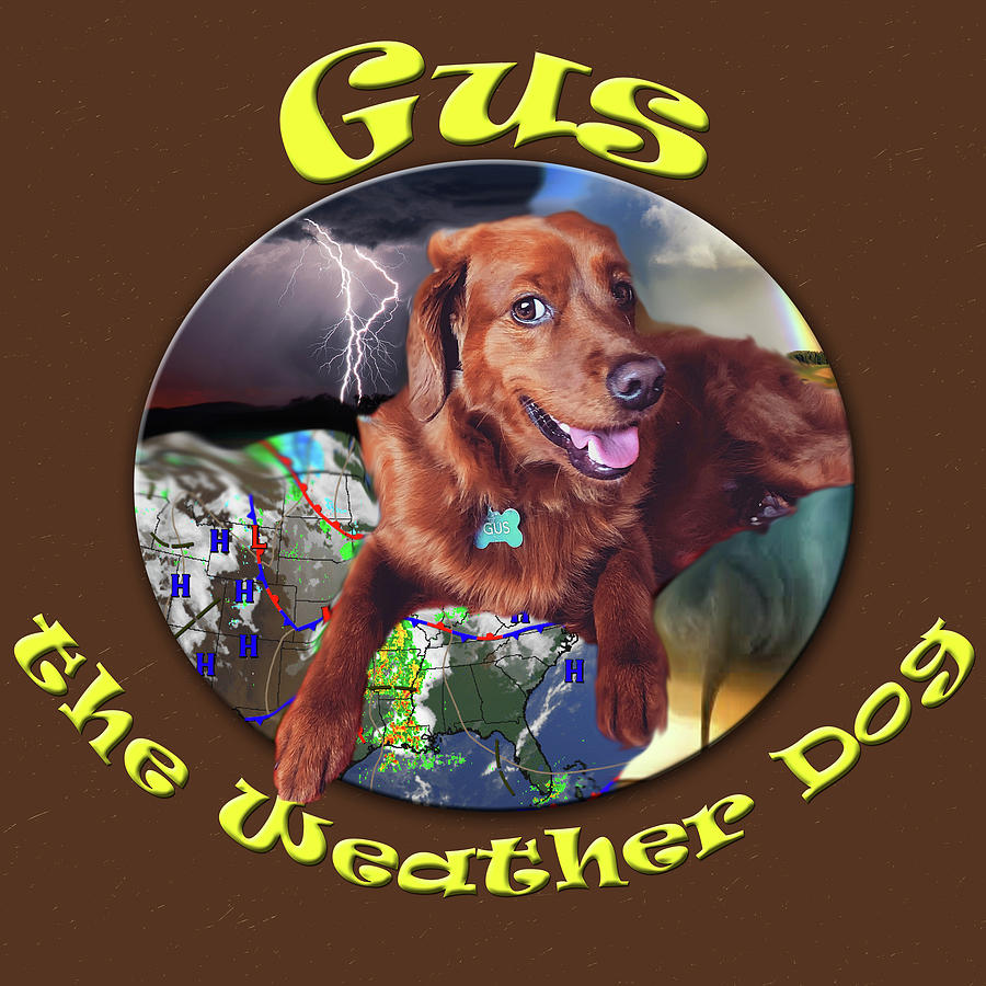 Gus the Weather Dog Digital Art by Rod Melotte