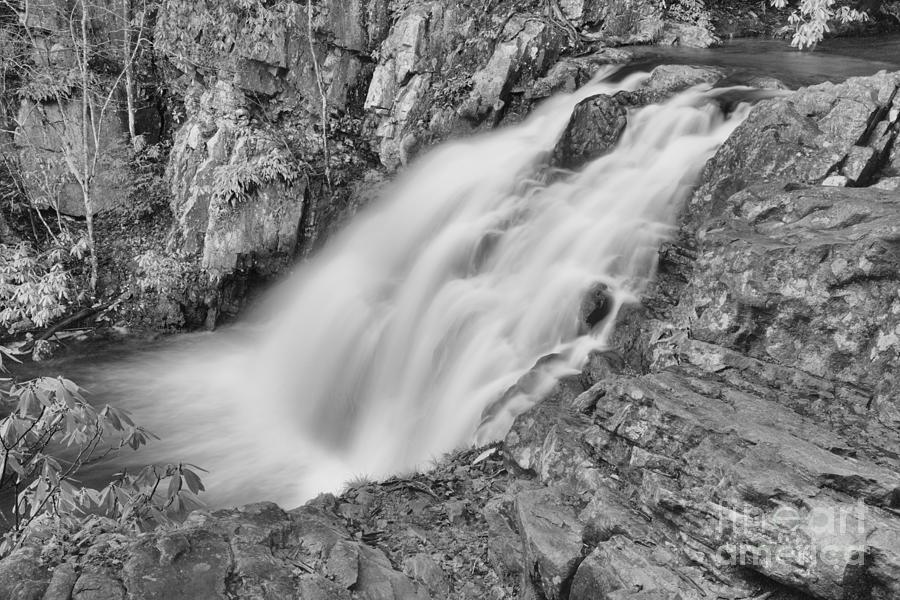 Gushing Hawk Falls Black And White Photograph by Adam Jewell