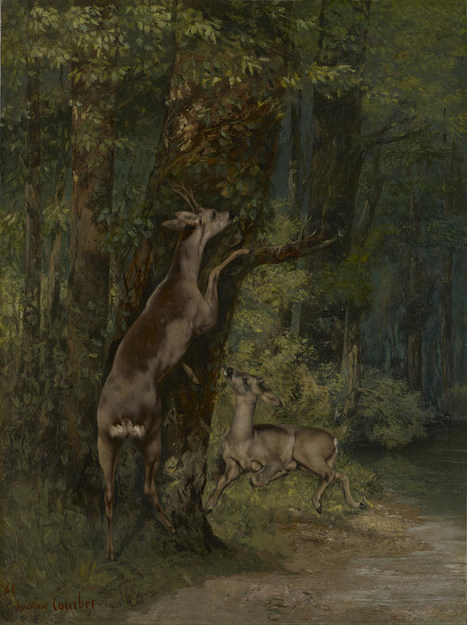 Gustave Courbet Deer in the Forest 1868 Fine Giclee Print