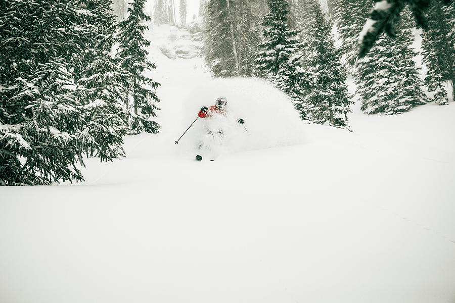 Tree Photograph - Guy Skiing Powder Snow In Colorado At Wolf Creek Ski Resort by Cavan Images