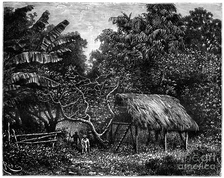 Guyana, South America, 19th Century Drawing by Print Collector