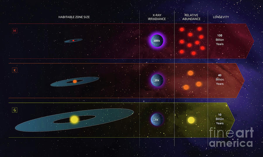 Habitable Zones Around Different Star Types Photograph by Nasa, Esa, Z ...