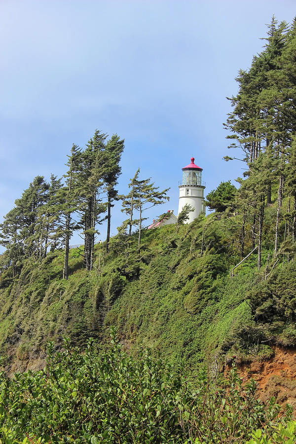 Haceta Head LIghthouse back view Photograph by Cathy Anderson