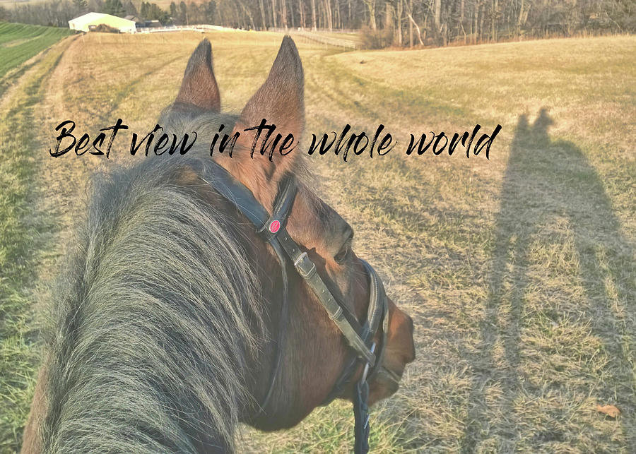 HACK DATE quote Photograph by Dressage Design