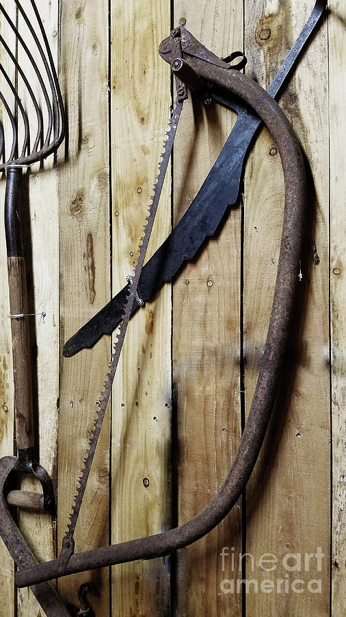 Hack Saw on Barn Wall Photograph by Mary Capriole