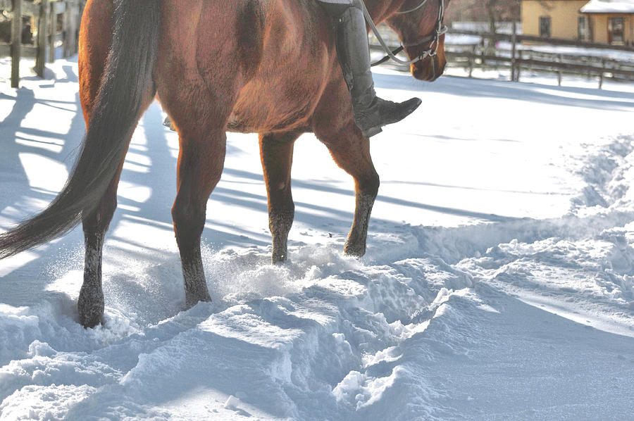 Hacking Through The Snow Photograph by JAMART Photography