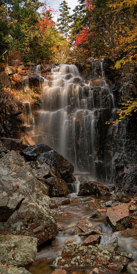 Hadlock Falls Photograph by Darylann Leonard Photography