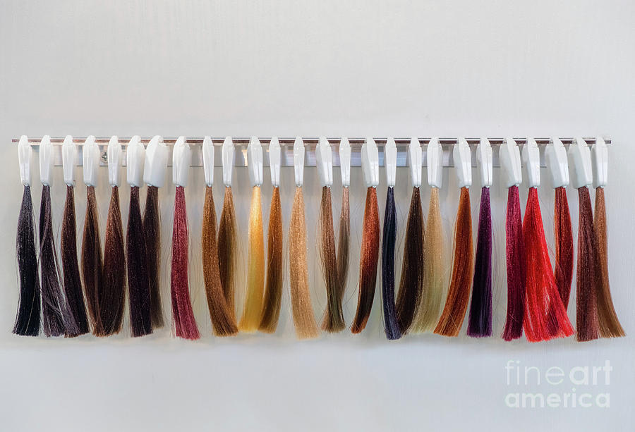 Hair Dye Strands Samples Hair Dresser Photograph by Luca Lorenzelli