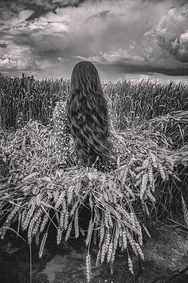 Hair In Field Photograph by Dzintra Zvagina
