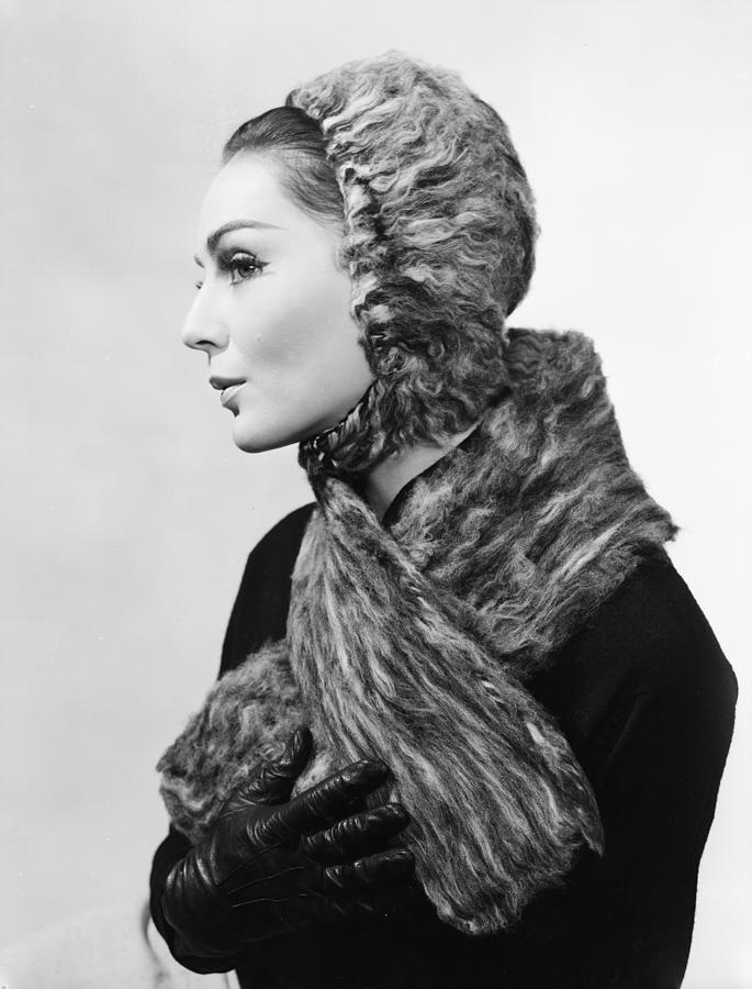Hairy Hat Photograph by Chaloner Woods Hairy Hat Photograph by Chaloner Woods
