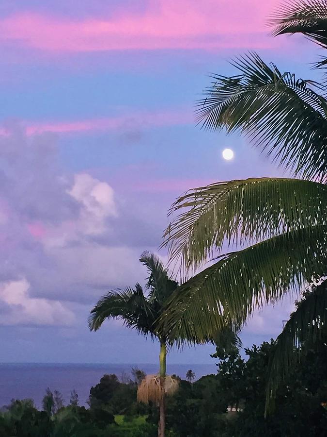 The Palms of Hakalau Bay at Moon rising  Photograph by Lehua Pekelo-Stearns