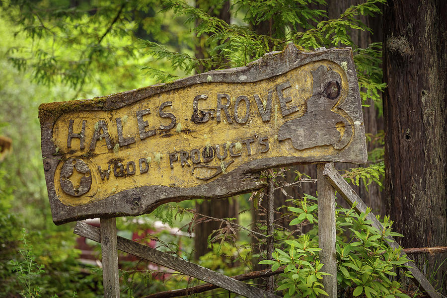 Hales Grove 110 Photograph