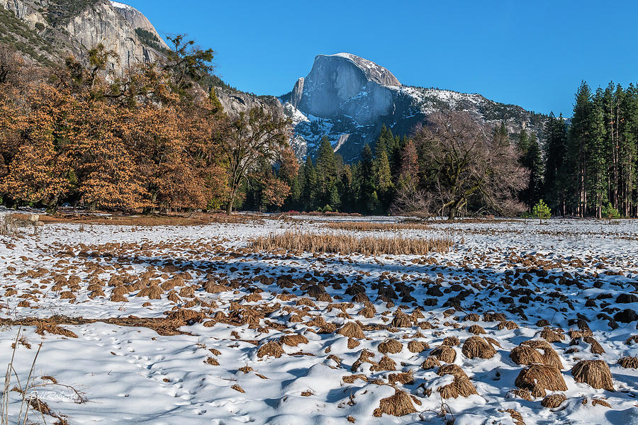 Half Dome and Cooks Meadow Photograph by Bill Roberts
