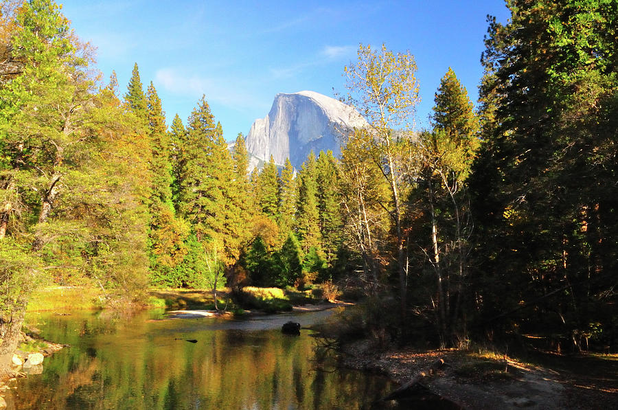 Half Dome And Merced River Photograph by Sandy L. Kirkner