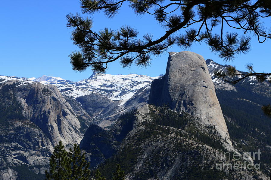 Half Dome From Glacier Point Photograph by Christiane Schulze Art And Photography