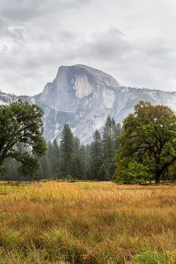 Half Dome in Autumn Photograph by Penny Meyers