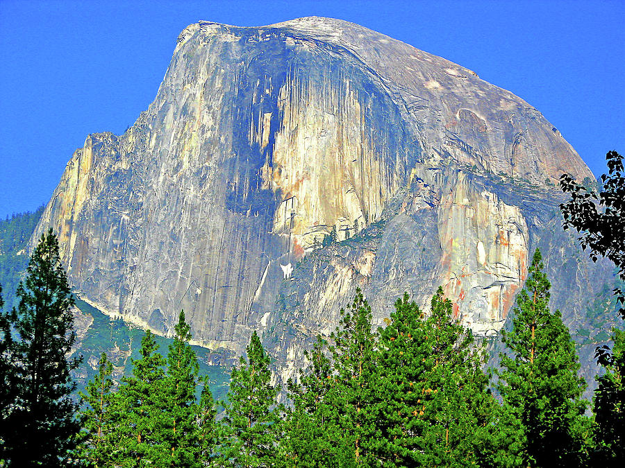 Half Dome In Summer Photograph by Photo By Bill Birtwhistle