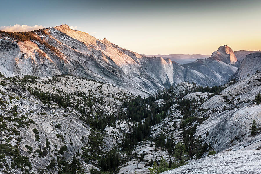 Yosemite National Park Photograph - Half Dome in the Distance by Karma Boyer