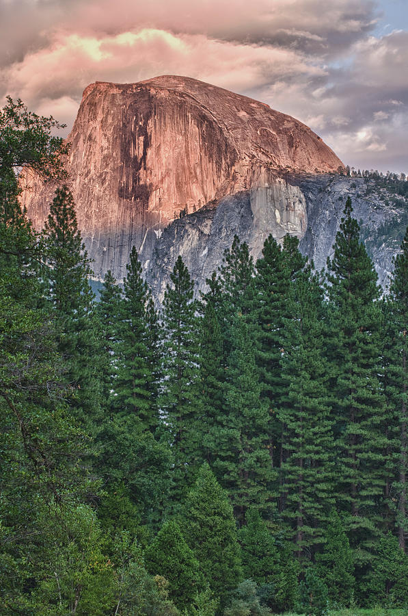 Half Dome In Yosemite National Park Photograph by Markhatfield
