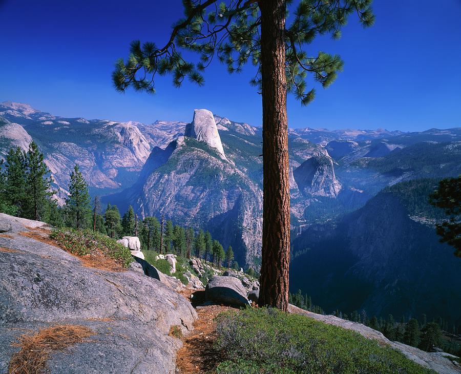 Half Dome, Upper Yosemite Valley Photograph by Design Pics/natural Selection David Ponton