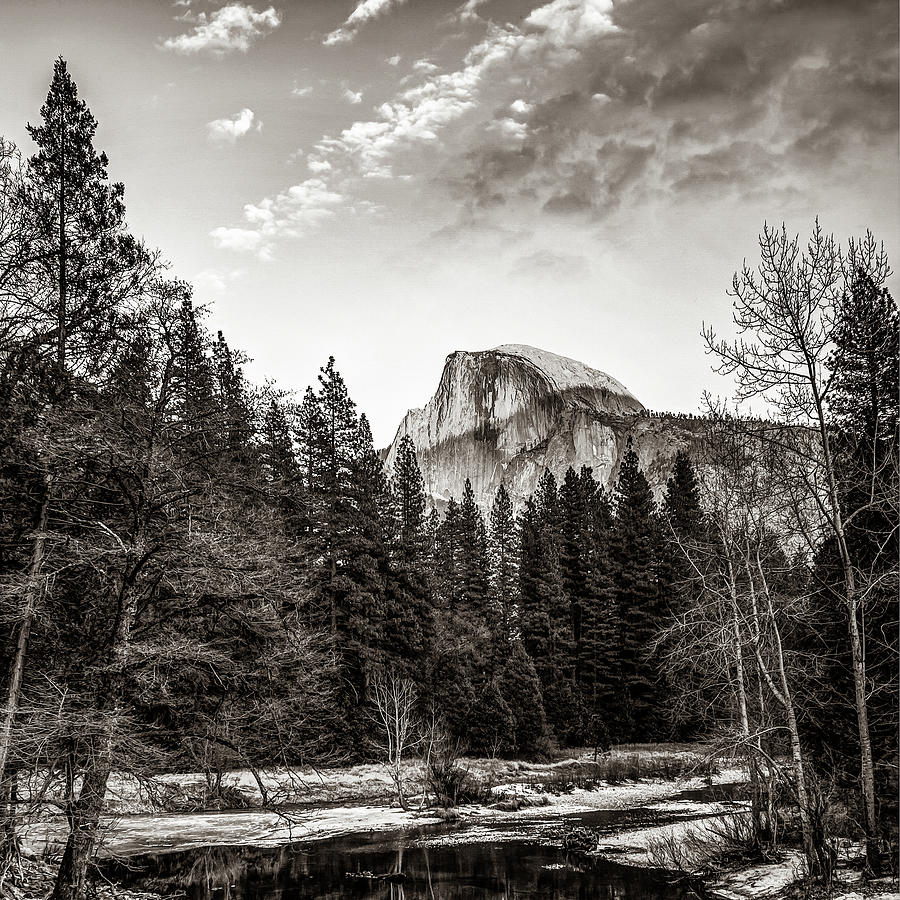 Half Dome Yosemite Mountain Landscape In Sepia Monochrome Photograph