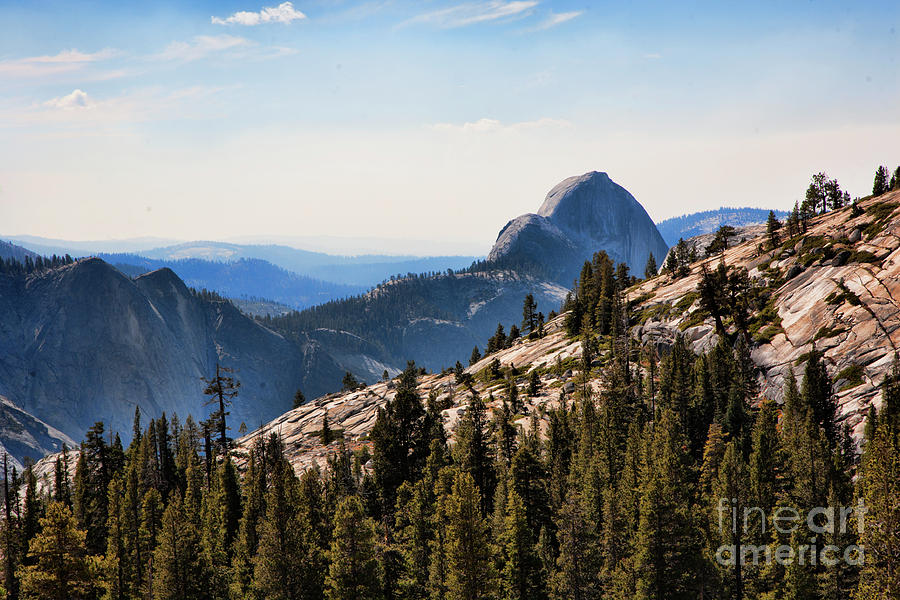 Half Dome Yosemite National Park  Photograph by Chuck Kuhn