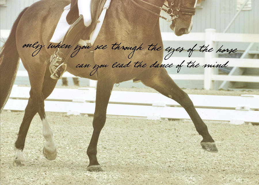 HALF PASS quote Photograph by Dressage Design