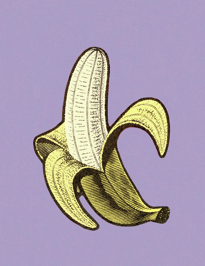Vintage Drawing - Half-Peeled Banana by CSA Images