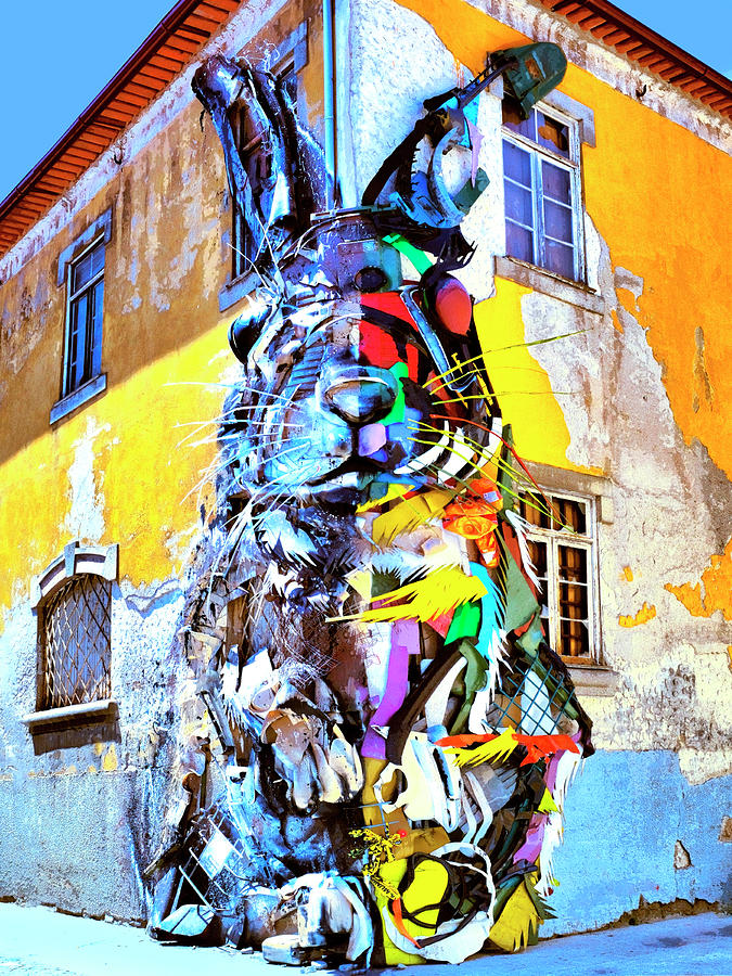 Half Rabbit Street Art Photograph by Dominic Piperata