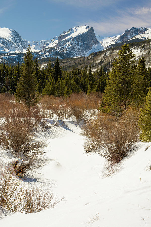 Hallett Peak - Winter Photograph by Aaron Spong
