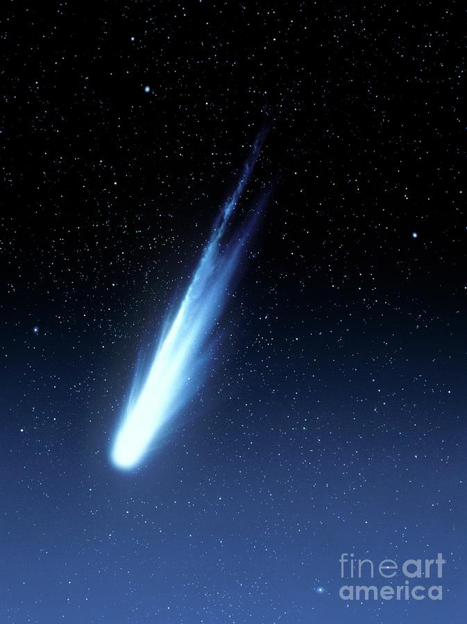 Halleys Comet Photograph by Detlev Van Ravenswaay/science Photo Library