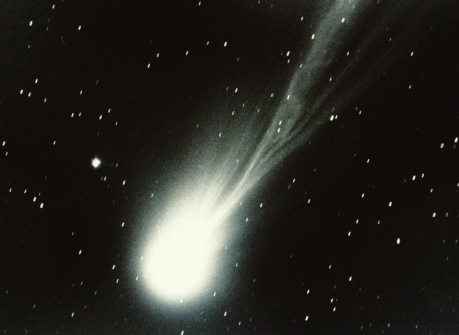 Halleys Comet by Stocktrek
