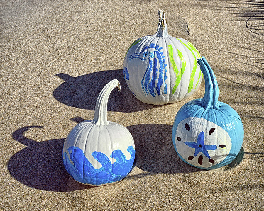 Halloween Blue and White Pumpkins on a Dune Photograph by Bill Swartwout