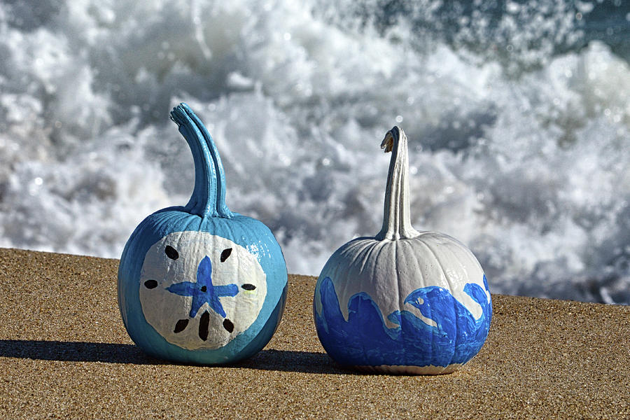 Halloween Blue and White Pumpkins on the Beach Photograph by Bill Swartwout