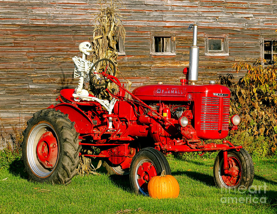 Halloween Farmall Photograph by Olivier Le Queinec