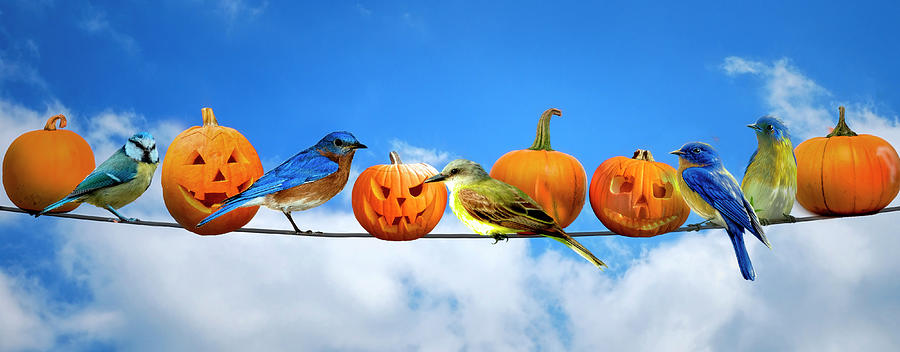Halloween for the Birds Digital Art by Debra and Dave Vanderlaan