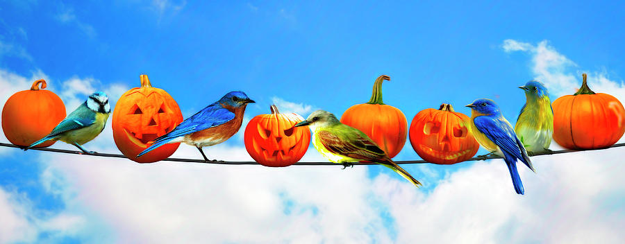 Halloween for the Birds Painting Photograph by Debra and Dave Vanderlaan