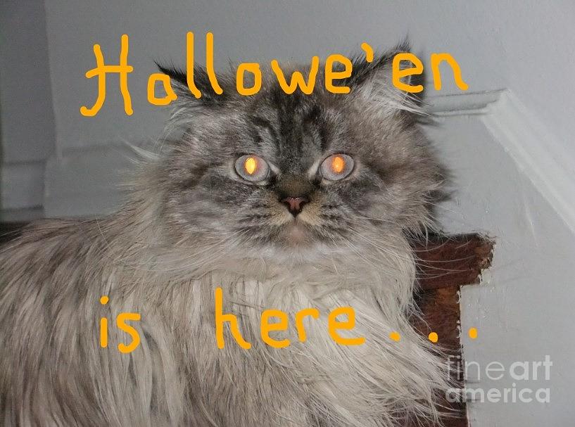 Halloween Mixed Media - Halloween Is Here by Maria Faria Rodrigues Halloween Mixed Media - Halloween Is Here by Maria Faria Rodrigues