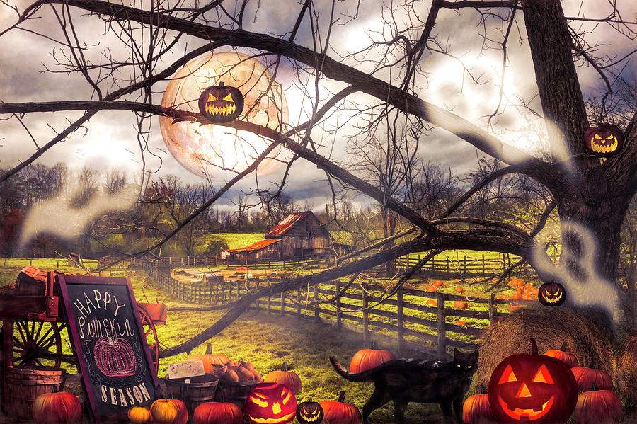 Halloween Jack O Lanterns Digital Art by Debra and Dave Vanderlaan