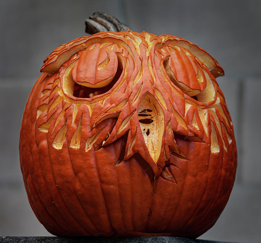 Halloween Pumpkin - Carved Owl Photograph by Robert Ullmann