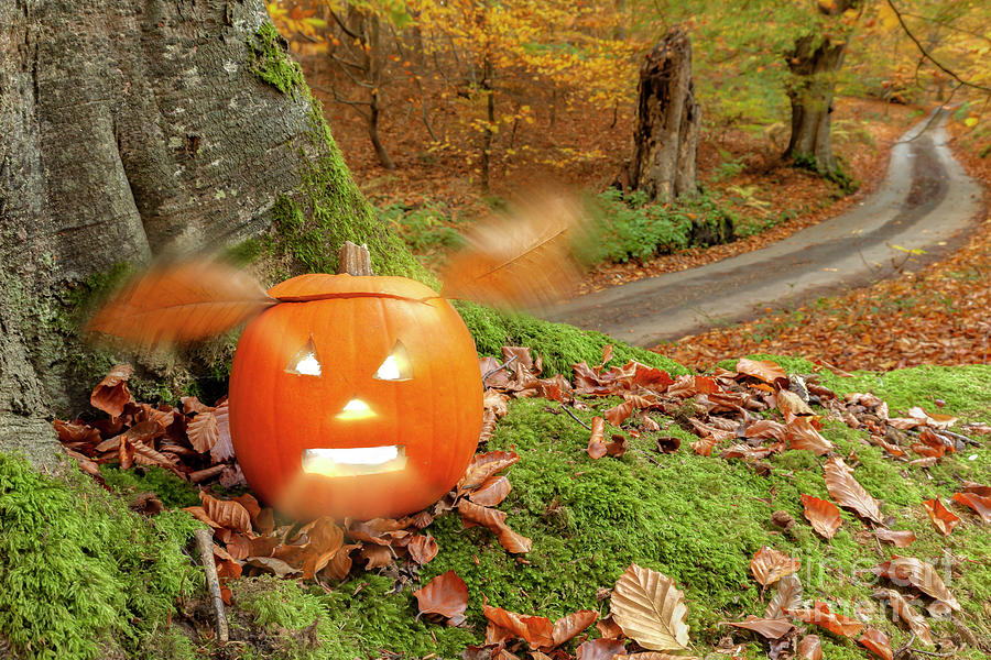 Halloween pumpkin in autumn woodland Photograph by Simon Bratt